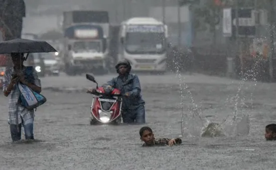 Mưa lớn gây nhiều thương vong tại Ấn Độ và Sri Lanka