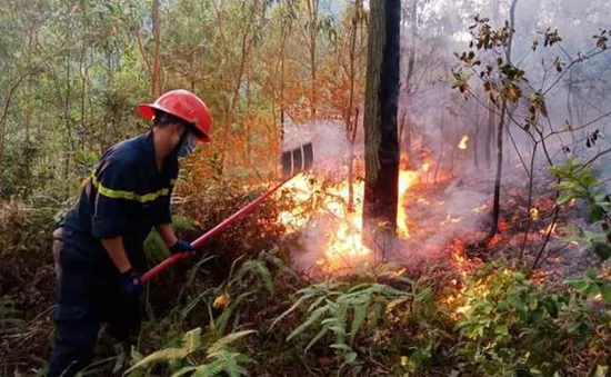 Khống chế vụ cháy rừng ở Bắc Giang