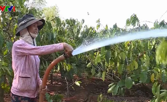 Nông dân Tây Nguyên ra quân chống hạn đầu năm