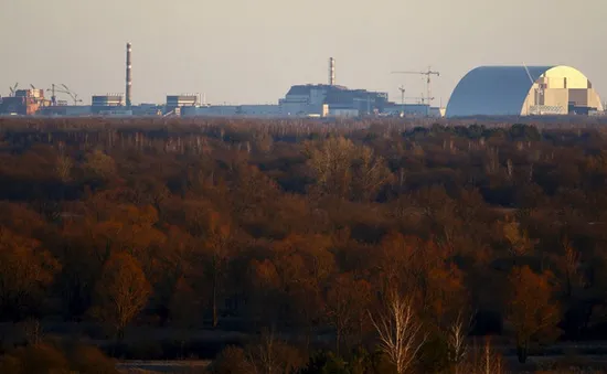 Cháy rừng lớn tại vùng nhiễm xạ ở Chernobyl