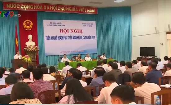 Ngành cá tra đặt mục tiêu xuất khẩu vượt mốc 2,4 tỉ USD trong năm 2019