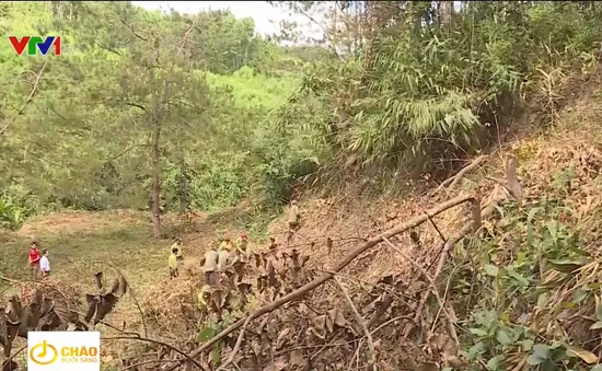 Hàng trăm nghìn ha rừng trước nguy cơ cháy cao