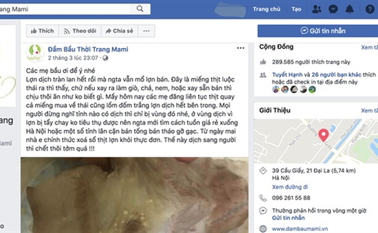 Bị phạt 20 triệu đồng do tung tin sai trên Facebook về dịch tả lợn châu Phi