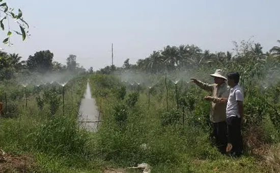 Áp dụng hệ thống tưới tiết kiệm nước để đối phó hạn mặn