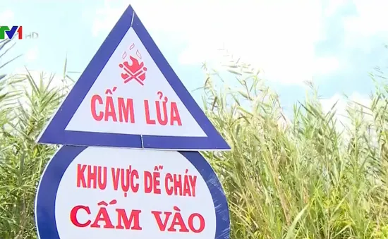 Nhiều cánh rừng cạn nước, nguy cơ xảy ra cháy cao