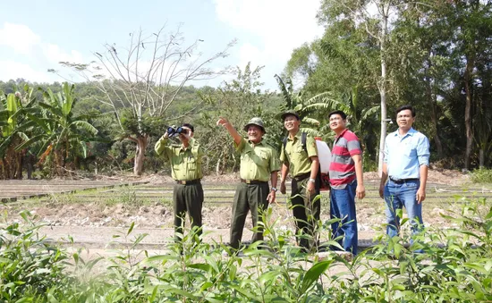 Cảnh báo cháy rừng cấp nguy hiểm tại ĐBSCL