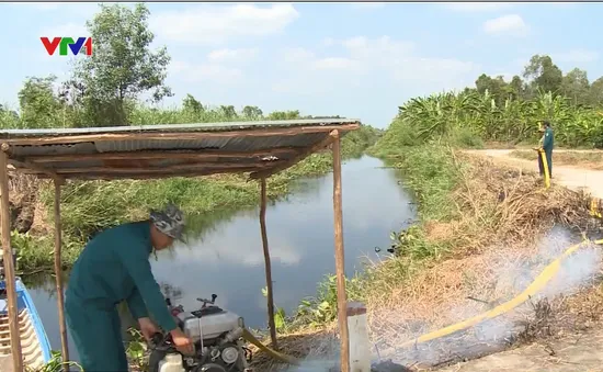 Sẵn sàng các phương án phòng chống cháy rừng tại Cà Mau