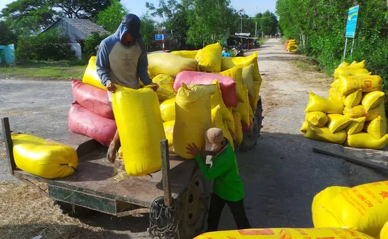 Yêu cầu các ngân hàng hạ lãi suất cho vay thu mua lúa gạo xuống 6%