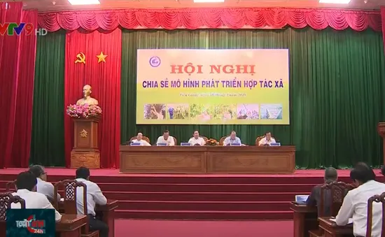 Chia sẻ kinh nghiệm phát triển mô hình hợp tác xã tại ĐBSCL