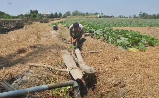 Nông dân khoan giếng, xây hồ dự trữ nước cứu cây trồng