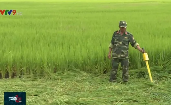 “Ăn không ngon, ngủ không yên” với quả bom nằm trong đất nhà