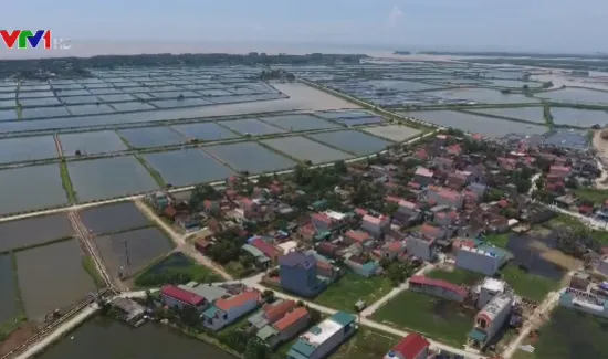 Ninh Bình phát triển kinh tế bãi ngang ven biển