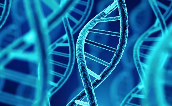 Phát hiện người đàn ông có DNA lâu đời nhất ở Bắc Mỹ