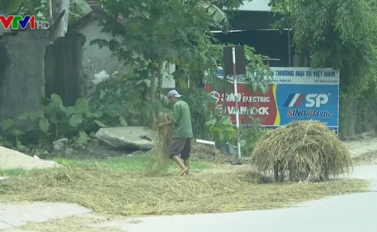 Mất an toàn giao thông vì rơm rạ phơi trên đường