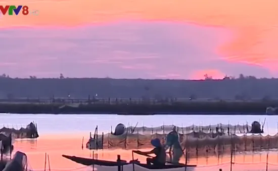 Khám phá nét đẹp đầm Chuồn