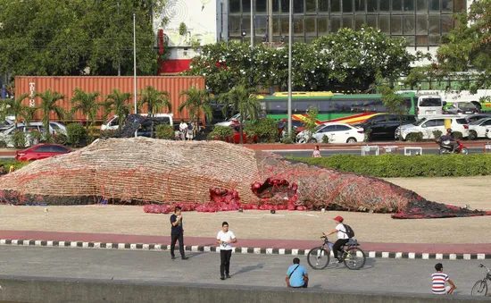 Thông điệp từ "Tiếng khóc của cá voi chết" tại Philippines