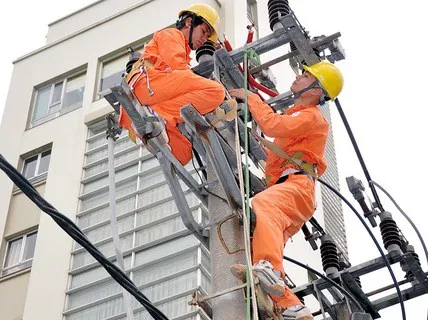 “Sẽ làm rõ vấn đề liên quan đến báo cáo tài chính và giá điện của EVN trong năm 2019”