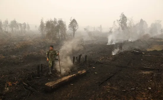 Khói đốt rừng từ Indonesia lan sang các nước láng giềng