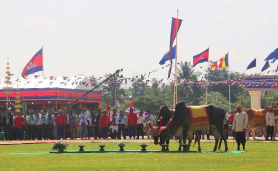 Hoàng gia Campuchia tổ chức Lễ Hạ điền 2019