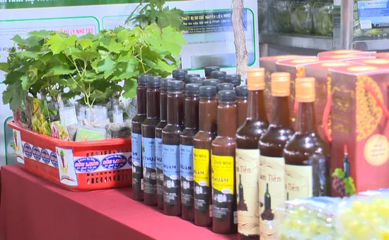 Chọn sản phẩm chế biến từ nho