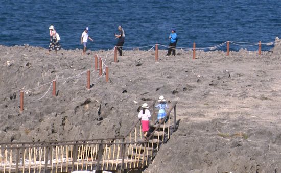 Khám phá bãi san hô Hang Rái ở Ninh Thuận