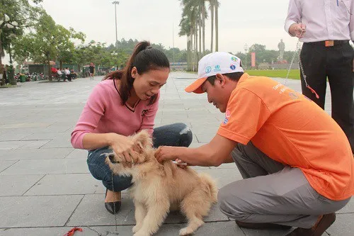 Nghệ An: Tăng cường phòng, chống bệnh dại trong mùa nắng nóng