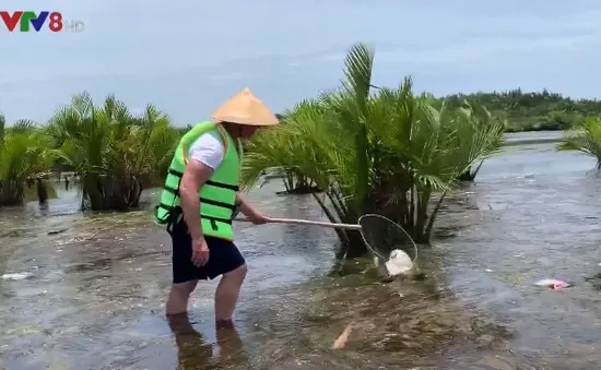 Du khách Tây sang Việt Nam, bỏ tiền ra để được đi nhặt rác