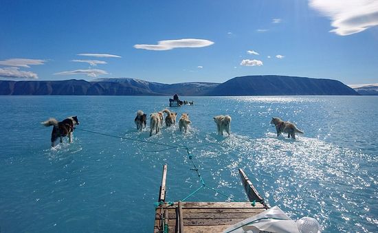 Bức ảnh lột tả hiện trạng băng tuyết tại Greenland gần đây