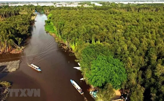 TP.HCM  - "Nhạc trưởng" điều phối cơ chế liên kết vùng ĐBSCL