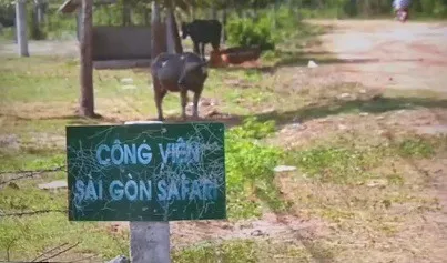 Thanh tra Chính phủ công bố sai phạm dự án Safari