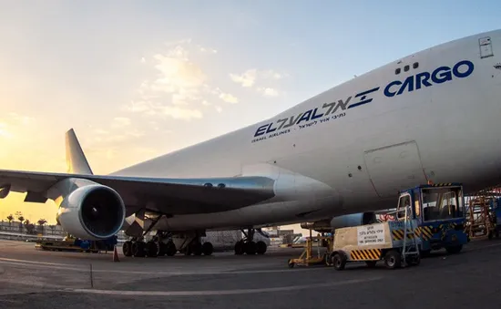 Boeing chở khách hạ cánh khẩn vì chim đâm vào động cơ