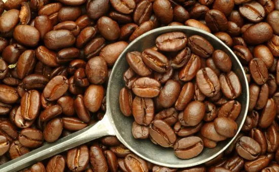 Brazil phát triển giống cà phê không có chất caffeine