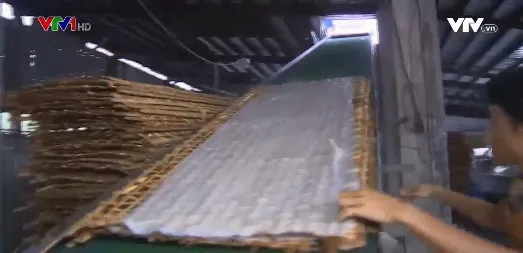 Ghé thăm làng nghề sản xuất hủ tiếu Mỹ Tho