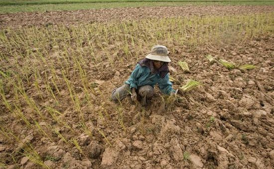 Thái Lan huy động phi đội làm mưa nhân tạo chống hạn