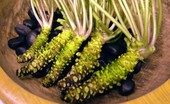 Vì sao Wasabi “thật” lại đắt đỏ và khan hiếm?