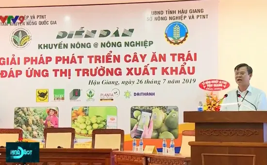 Giải pháp phát triển cây ăn quả đáp ứng thị trường xuất khẩu