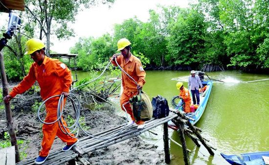 Điện lực miền Nam tri ân các thương binh, liệt sỹ