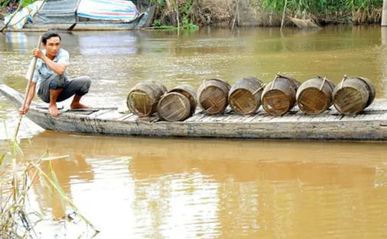 Năm 2019, lũ thấp ở ĐBSCL