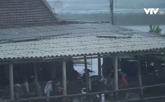 Ảnh hưởng bão số 2, Ninh Bình mưa to, gió mạnh cấp 3
