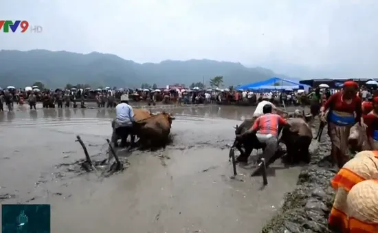 Vui nhộn chạy trong bùn mừng lễ hội lúa gạo