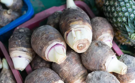 Trúng mùa, được giá khoai môn vụ Hè Thu