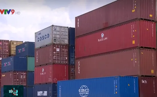 Cảnh báo mua bán phế liệu nhựa qua hạn ngạch nhập khẩu