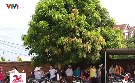 Giám đốc DN tại Bắc Giang bỏ trốn, hàng trăm công nhân lao đao
