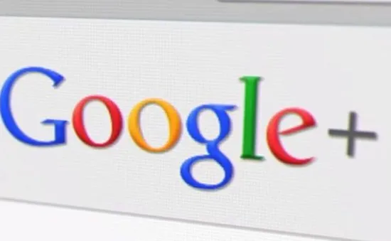 Lý do Google bị đình chỉ 1 dịch vụ ở New Zealand