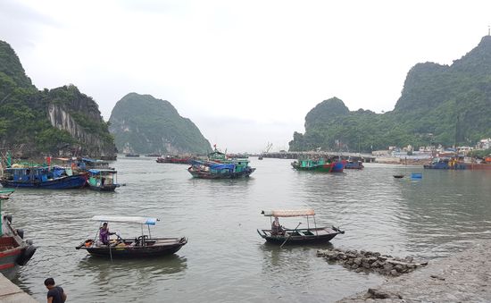 Quảng Ninh kêu gọi tàu thuyền vào tránh trú bão số 3