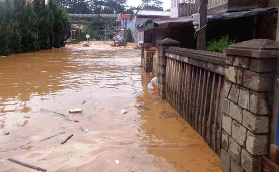 Bất thường lũ lụt ở Đà Lạt: Đâu là nguyên nhân?