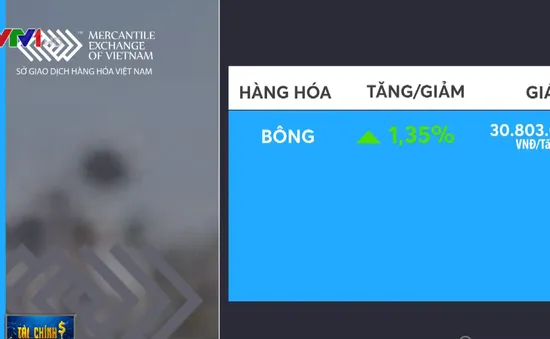 Giá bông kỳ hạn tháng 12/2019 hồi phục 1,35%