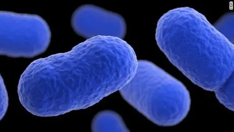 Tây Ban Nha cảnh báo nhiễm khuẩn listeria trong thịt hộp