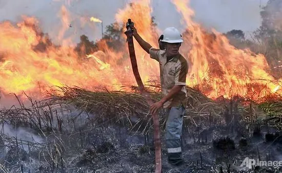 Indonesia huy động máy bay trực thăng đối phó cháy rừng