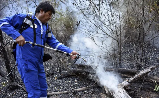 Tổng thống Bolivia tham gia chữa cháy rừng